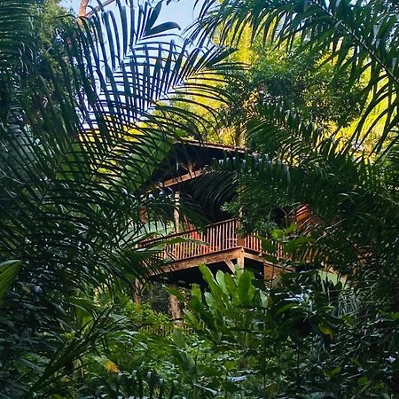 Pousada Anjali Velha Boipeba Exterior foto