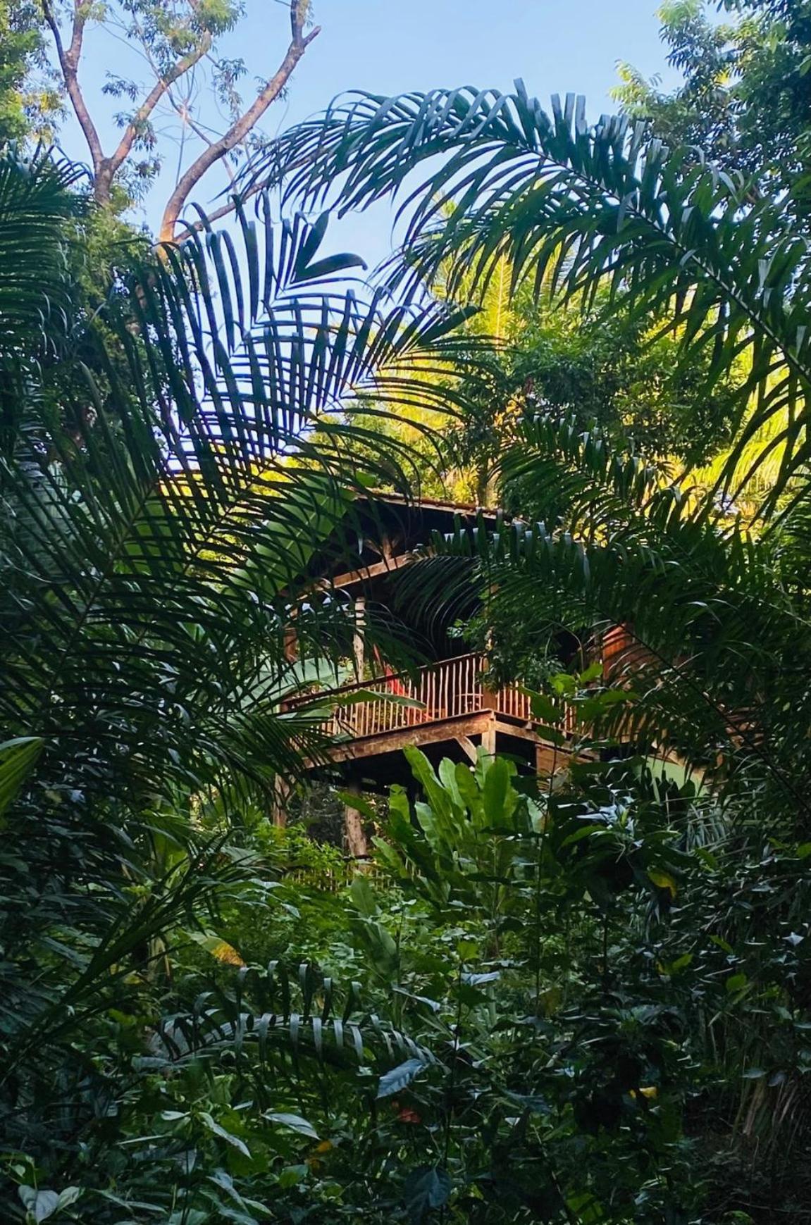 Pousada Anjali Velha Boipeba Exterior foto